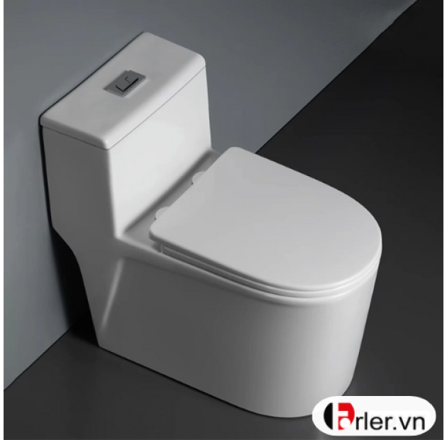 Bồn Cầu Cao Cấp Một Khối 107 (BCMK47)